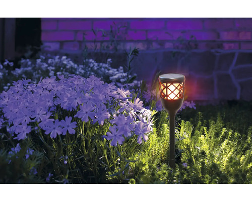 Solarlamp in tuin met planten