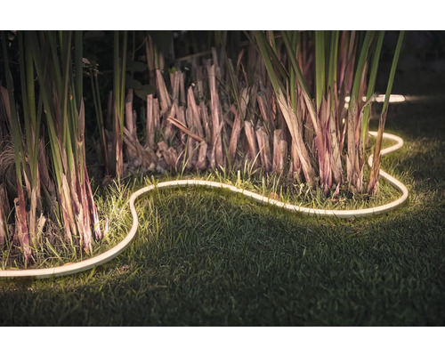 Decoratieve led-lichtsnoer in de tuin tussen planten