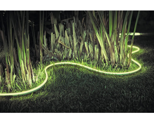 Verlichte LED lichtslang in de tuin tussen planten