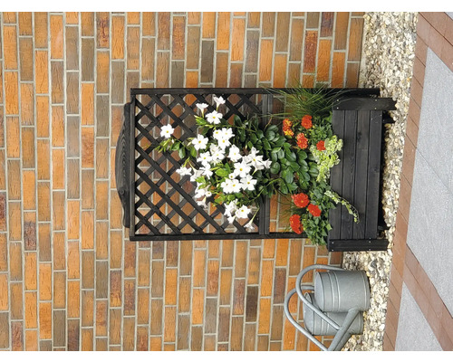 Bloembak met trellis tegen een bakstenen muur, inclusief gieter.