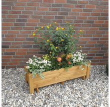 Houten plantenbak beplant met diverse bloemen