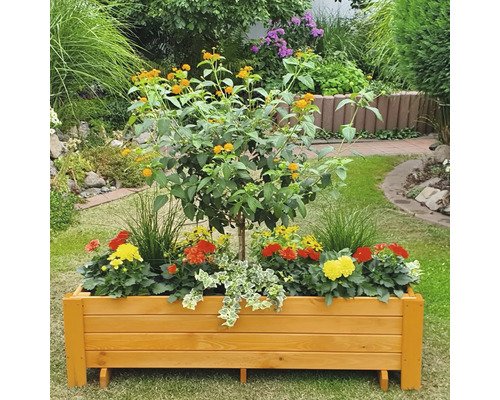 Houten plantenbak met bloemen en boom in de tuin
