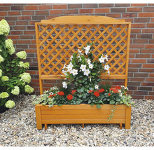 Plantenbak met klimrek 120 x 38 x 140 cm