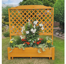 Plantenbak met klimrek 120 x 38 x 140 cm