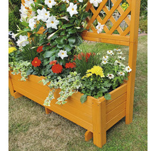 Plantenbak met klimrek 120 x 38 x 140 cm