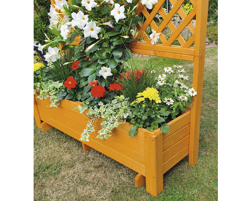 Houten plantenbak met klimrek beplant met diverse bloemen.