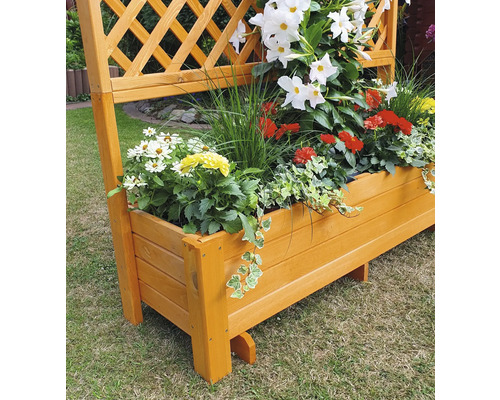 Houten plantenbak met klimrek en beplanting in de tuin