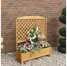 Plantenbak met klimrek 120 x 38 x 140 cm