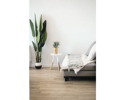 Woonkamer met kamerplant, bijzettafel en bank