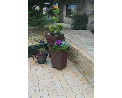 Bestraat pad met bestratingstenen, bloempotten en planten voor een huis.