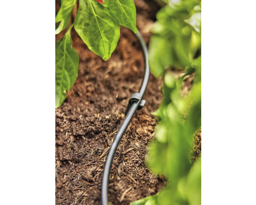 Irrigatieslang met grondpen in tuinbed voor plantenirrigatie