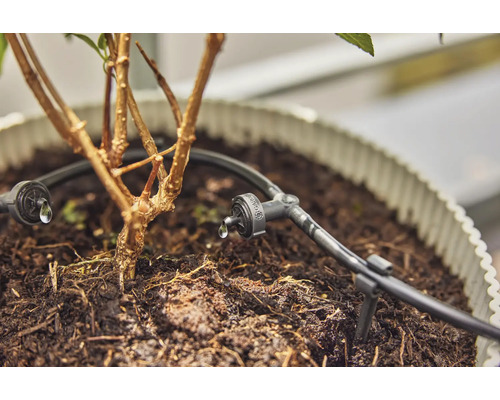 Druppelirrigatiesysteem voor planten in pot