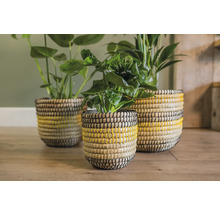 Decoratieve planten in gevlochten manden met gele accenten
