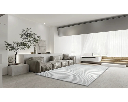 Woonkamer met bank, tapijt en kamerplant