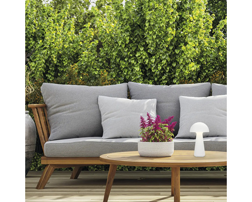 Tuinscene met houten bank, kussens, tafellamp en plant in pot