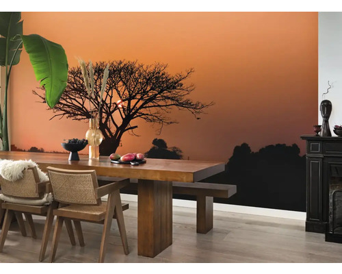 Woonkamer met foto van een boom bij zonsondergang, een eettafel en stoelen