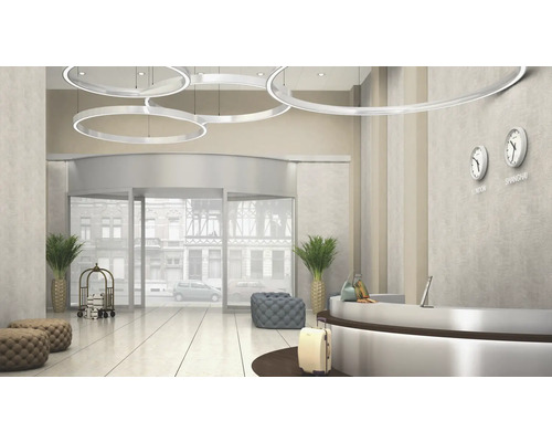 Entreehal met receptie, bagagekar, draaideur en ringvormige lampen