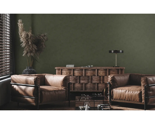 Woonkamer met twee leren fauteuils en een houten kast