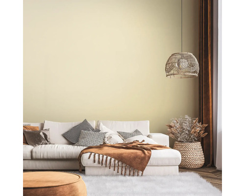 Woonkamer met bank, kussens, deken en decoratie