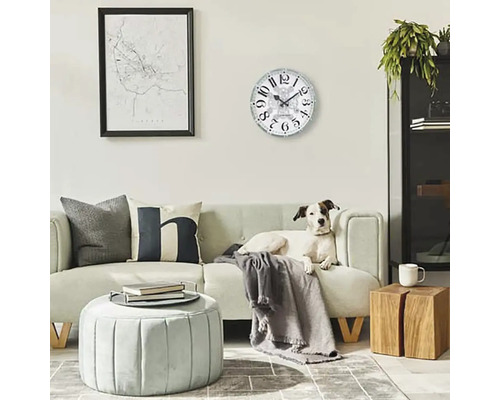 Woonkamer met bank, salontafel, wandklok en hond