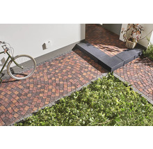 Bestrate buitenruimte met fiets, trap en beplanting