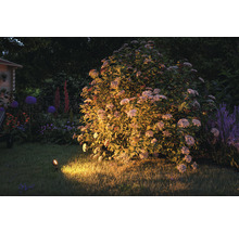 Tuin met bloemen verlicht door een grondspot