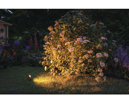 Tuin met bloemen verlicht door een grondspot