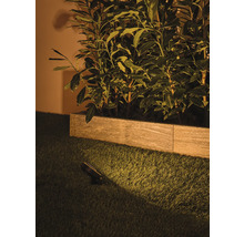 Tuinspot verlicht planten in een plantenbed