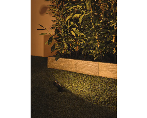 Tuinspot verlicht planten in een plantenbed