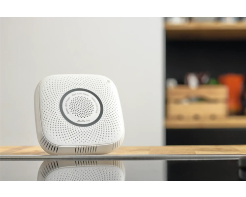 Gasmelder voor de detectie van gevaarlijke gasconcentraties