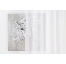 Schilderij met paardenmotief en gordijn