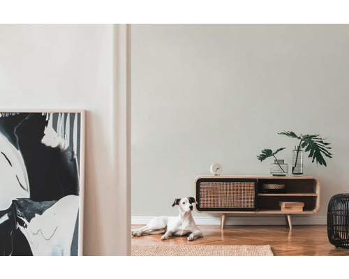 Woonkamer met dressoir, decoratie en hond