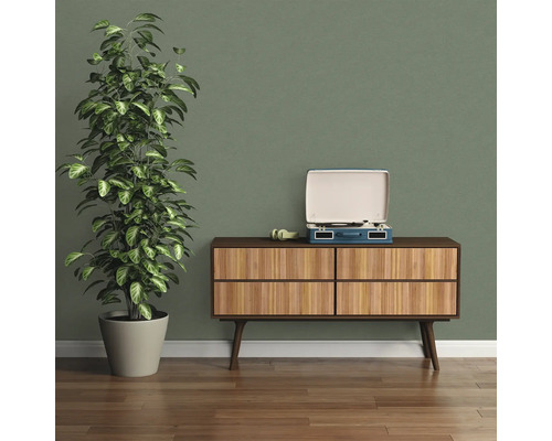 Woonkamer met kamerplant, platenspeler en commode