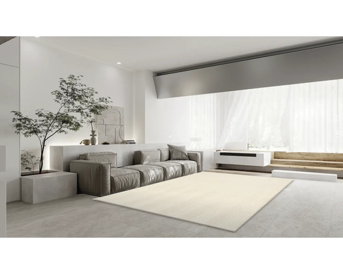 Lichte woonkamer met bank, boom en tapijt