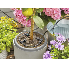 Bloemenbewateringssysteem met potplanten en waterreservoir