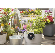 Scènefoto van een balkon met verschillende planten en een irrigatiesysteem