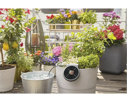 Scènefoto van een balkon met verschillende planten en een irrigatiesysteem