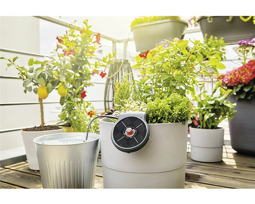 Balkonscène met planten in potten en irrigatiesysteem op zonne-energie