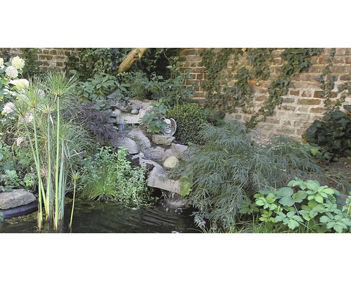 Vijver met waterval en beplanting voor een bakstenen muur