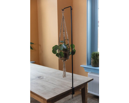 Plantenhanger met zwarte beugel bevestigd aan tafel