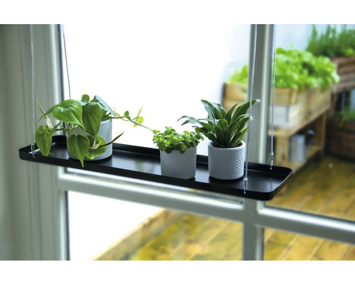 Hangende plantenplank met drie kamerplanten in potten bij het raam