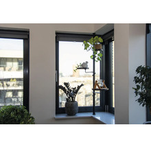 Kamer met raam, planten en plantenstandaard