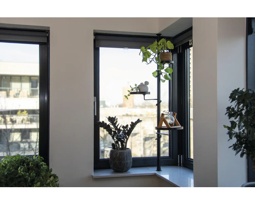 Kamer met raam, planten en plantenstandaard