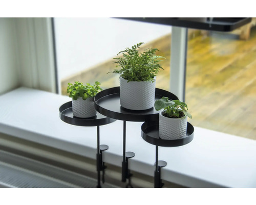 Plantenstandaard met drie tafels en kamerplanten