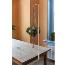 Plantenhanger met tafelklem van metaal en een potplant