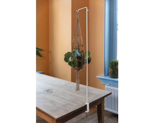 Plantenhanger met tafelklem van metaal en een potplant