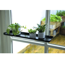 Hangende plank met drie kamerplanten in potten