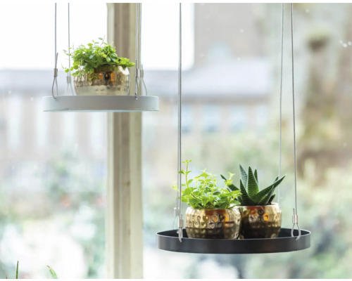 Twee hangende plantenplanken met planten voor een raam