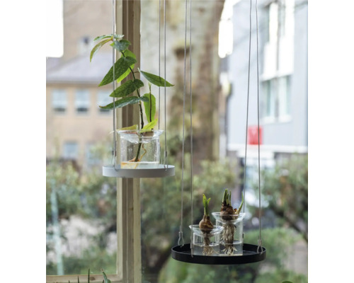 Twee hangende plantenarrangementen met planten in waterglazen voor een raam.