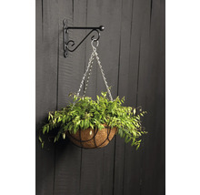 Hangmand met planten aan een muurbeugel